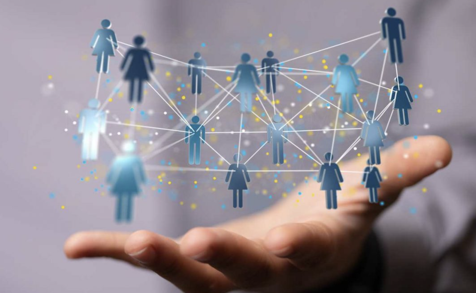 Investor network